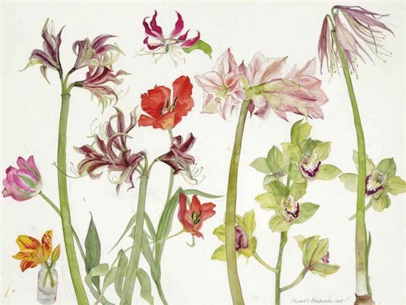 Amaryllis, Orchids and Tulips by Elizabeth Blackadder, 2005