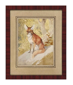 A Fox - Etienne Juillerat