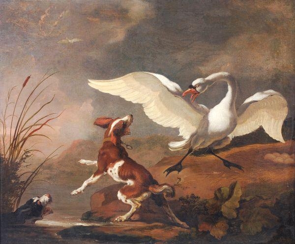 A spaniel attacking a swan by Abraham Hondius