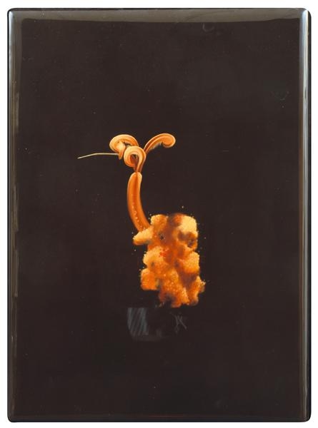 Artwork by Sam Leach, Osedax Mucofloris (Bone Eating Snot Flower), Made of oil and resin on board