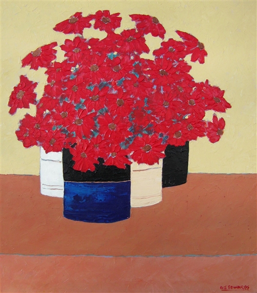 Collection of Potted Gerberas by David J. Edwards