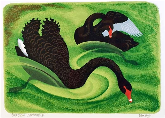 Black Swans by Eileen Mayo