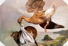 Flights of the imagination