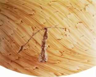 Dancing Pears by Boyd Webb