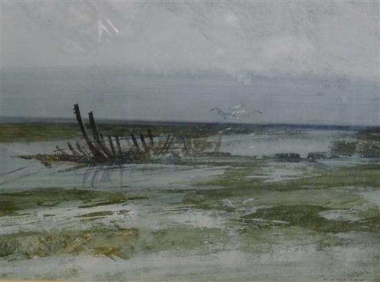 The Wreck by Fredrich Donald Blake
