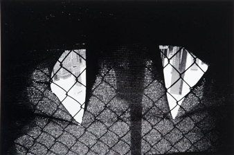 New York - William H. Risel