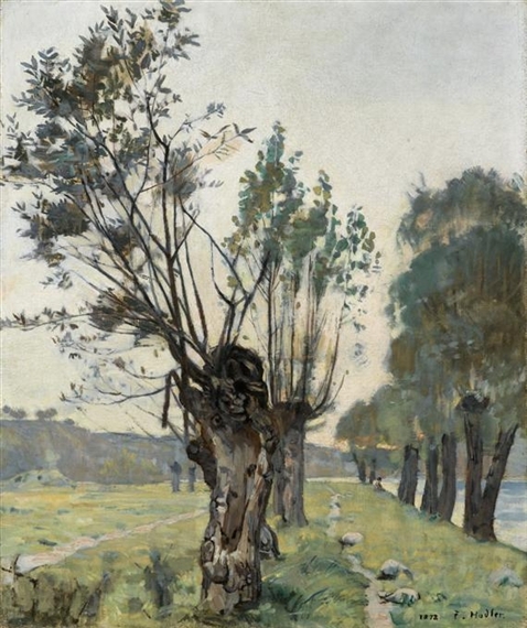 Pasture at La Jonction in the evening