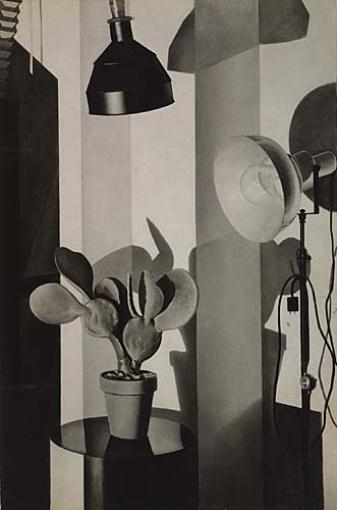 "Cactus." by Charles Sheeler, 1931