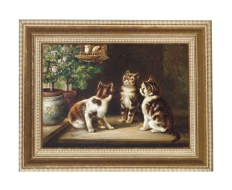 Watch the birdie - J. Adam