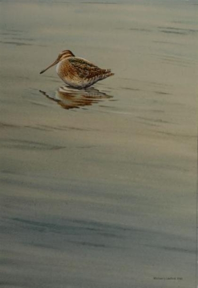 Snipe by Michael J. Loates, 1981