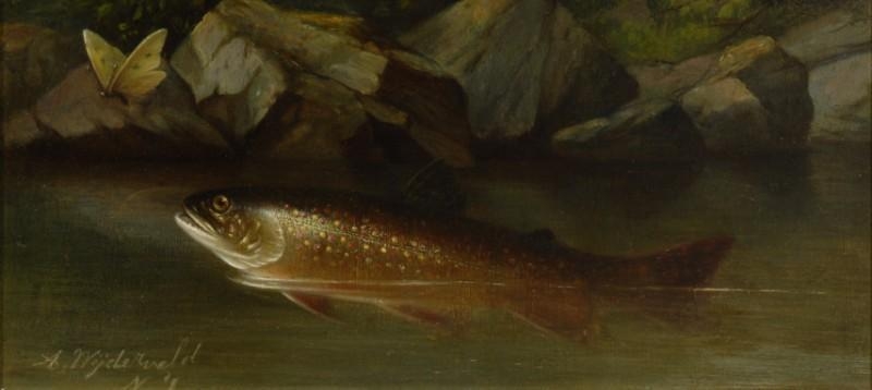Artwork by Arnoud Wydeveld, Trout with Butterfly, Made of Oil on Canvas
