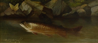 Trout with Butterfly - Arnoud Wydeveld