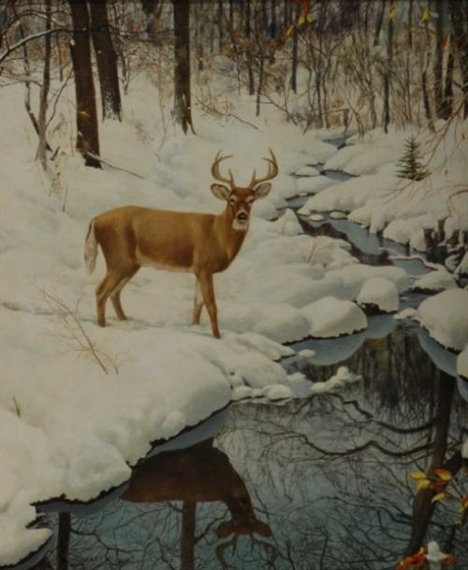 Buck by Stream in Winter by Robert Doares