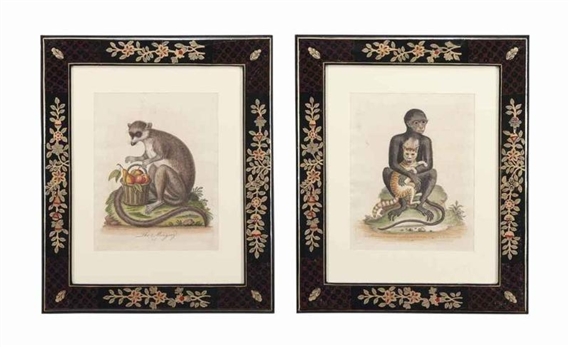 George Edwards | Monkeys | MutualArt