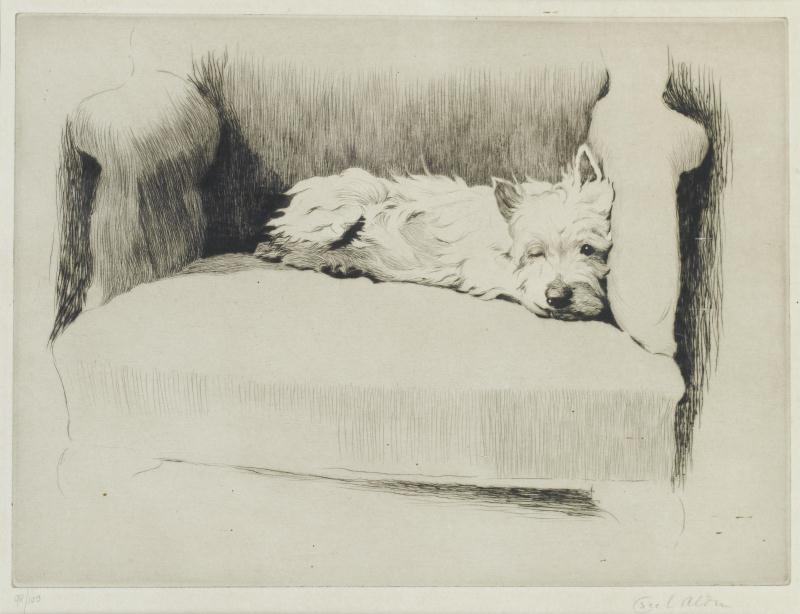 Artwork by Cecil Aldin, Boss-eye'd Peter, Made of etching