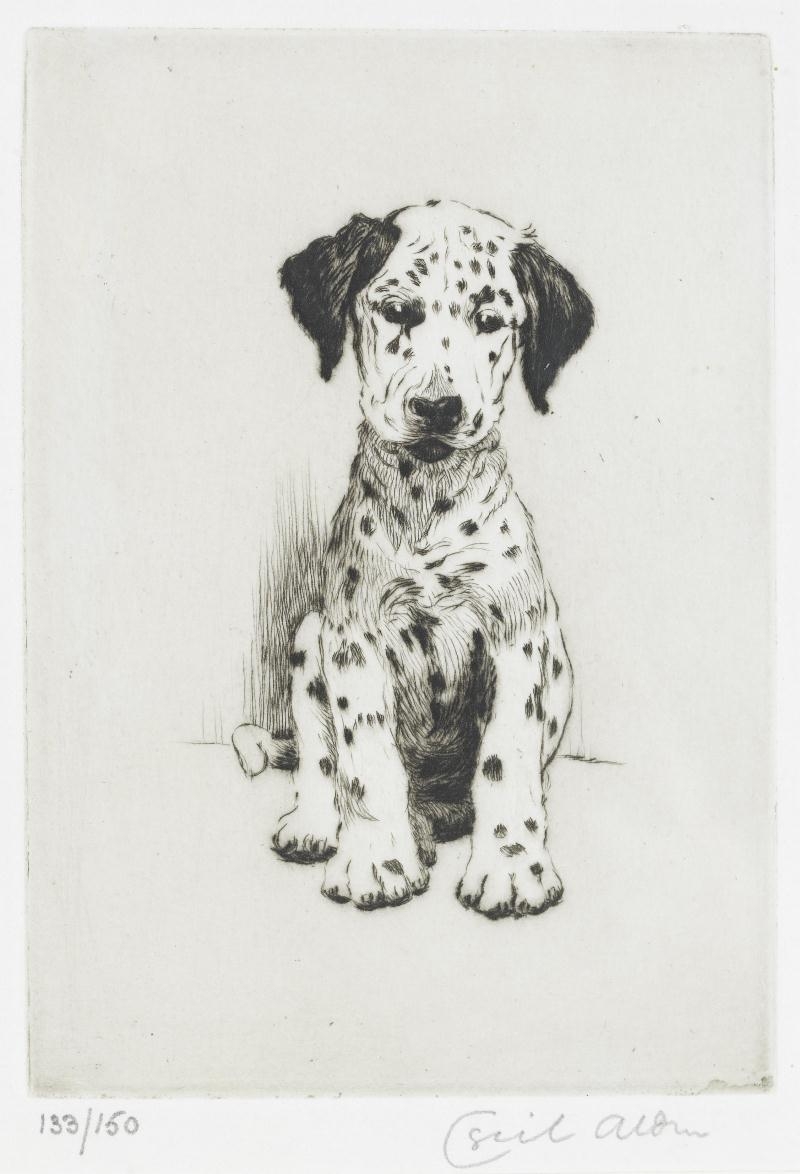 Artwork by Cecil Aldin, Loopy - the ugly puppy, Made of etching