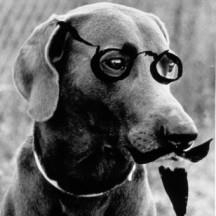 The Nexus: At Virginia MOCA - The Chrysler Museum of Art