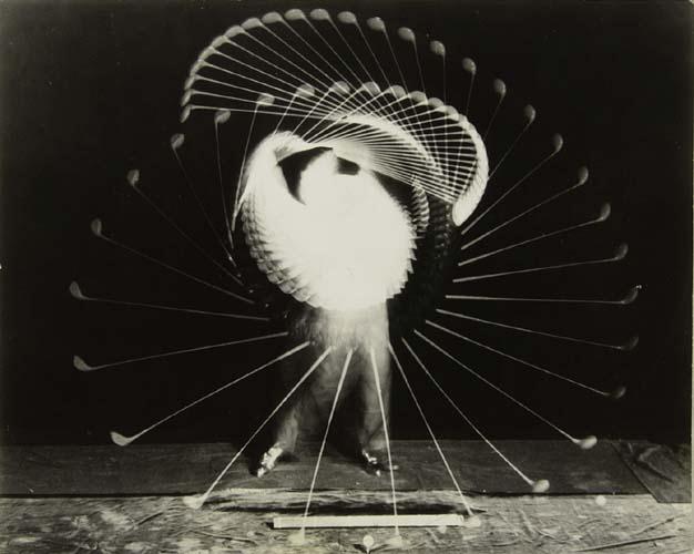 Harold Eugene Edgerton Golf legend Bobby Jones taking a swing (1938
