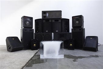 Marie Toseland: Death Blooms Out - Works | Projects