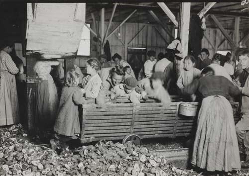 2 works: Oyster-shuckers ; Back porches by Lewis Hine, 1911; 1910
