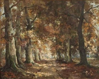 FOREST SCENE - Johan Jan Damme