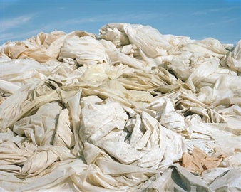 The Brighton Photo Biennial 2012