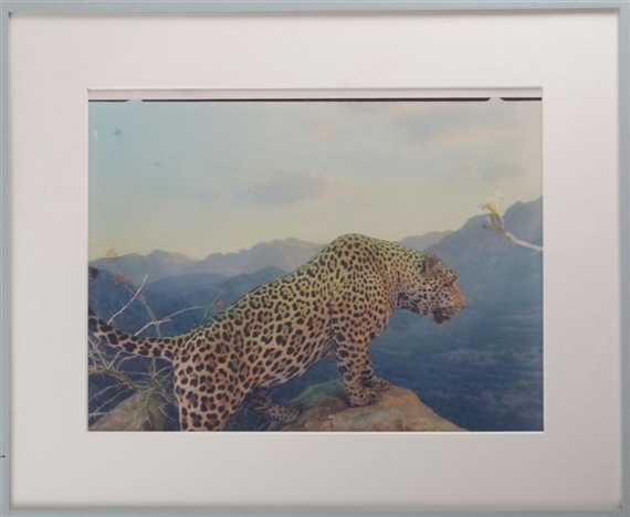 Jaguar, NYC - Jacqueline Hayden