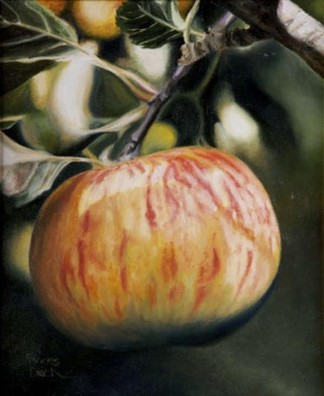 Ripening Apple by Frances Black, 2006