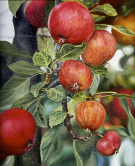 The Orchard - Frances Black