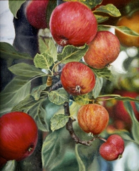 The Orchard - Frances Black