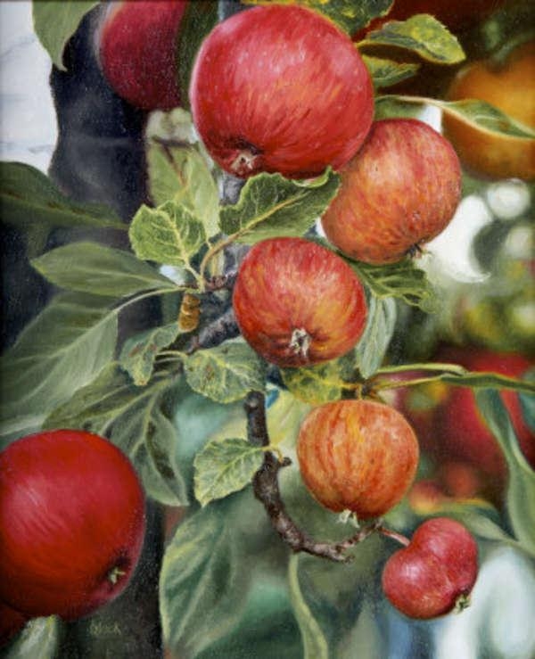 Artwork by Frances Black, The Orchard, Made of Oil on canvas