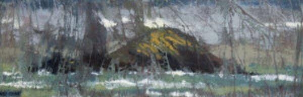 Rod Coyne | Deenish Island, Kerry - Sea Serpent Slumbers | MutualArt