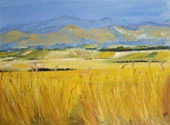 Canterbury, New Zealand - Barbara Boland