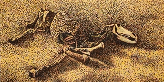 Way to the Gobi Desert - Ahn Chang Hong