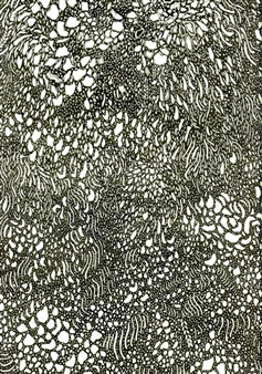 Caitlin Foster: Drawings - Chandler Fine Art
