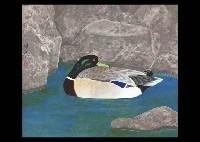 Bitan - Keika Kanashima