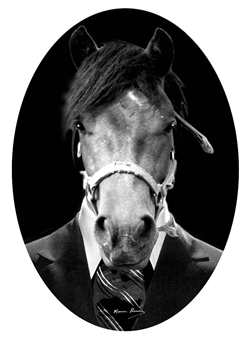 Horse 593 - Maurice Renoma