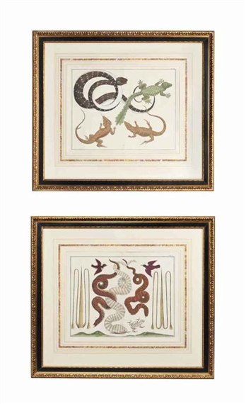 6 Works: Snakes and Reptiles by Albertus Seba