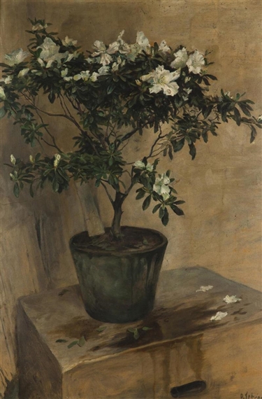 White Azalea by Otakar Lebeda