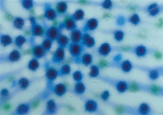 FROM CYCLE SONG OF SOUL - Josef Šeda