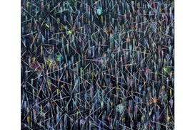 Exhibition of new paintings by genre-busting painter Doug Argue opens at Edelman Arts