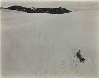 Edward Weston | Nude and Dunes (1939) | MutualArt