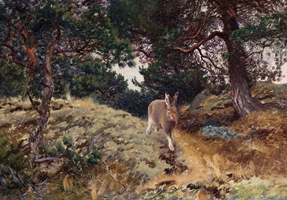 Winter Hare 1914 by Bruno Liljefors, 1914