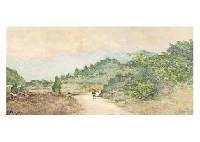 Aizu in the Early Summer by Kokki Miyake