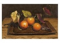 Perssimmon by Shogo Endo