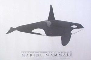 Fourth Biennial Conference on the Biology of Marine Mammals - Pieter Folkens