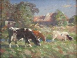 CATTLE GRAZING IN SUMMER PASTURE - Andre Douglas
