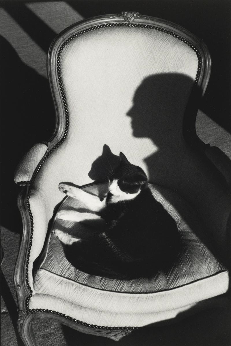 henri cartier bresson composition shadows