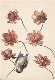 A flower study with a dead bird - Leopold Brunner the Elder