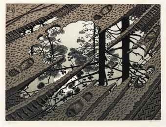 Artwork by Maurits Cornelis Escher, Puddle, Made of Woodcut in black, green and brown on thin laid Japon paper